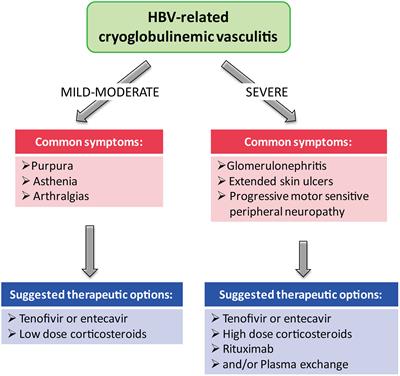 Hepatitis B virus-infection related cryoglobulinemic vasculitis. Clinical manifestations and the effect of antiviral therapy: A review of the literature